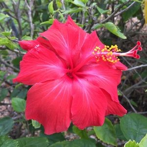 Meet your Posher, Wendy